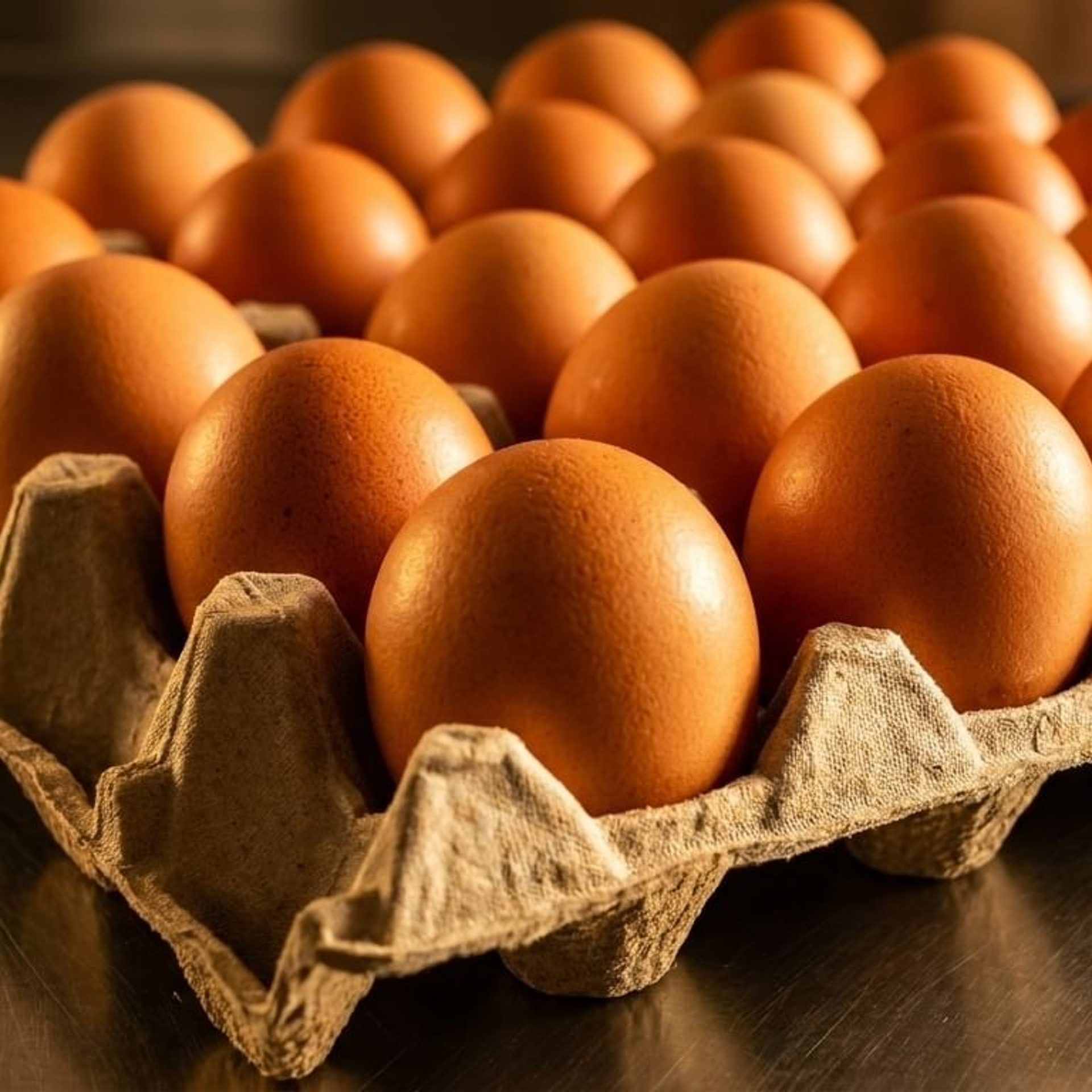 Catering for Your Next Event